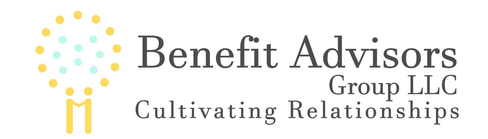 Benefit Advisors Group LLC